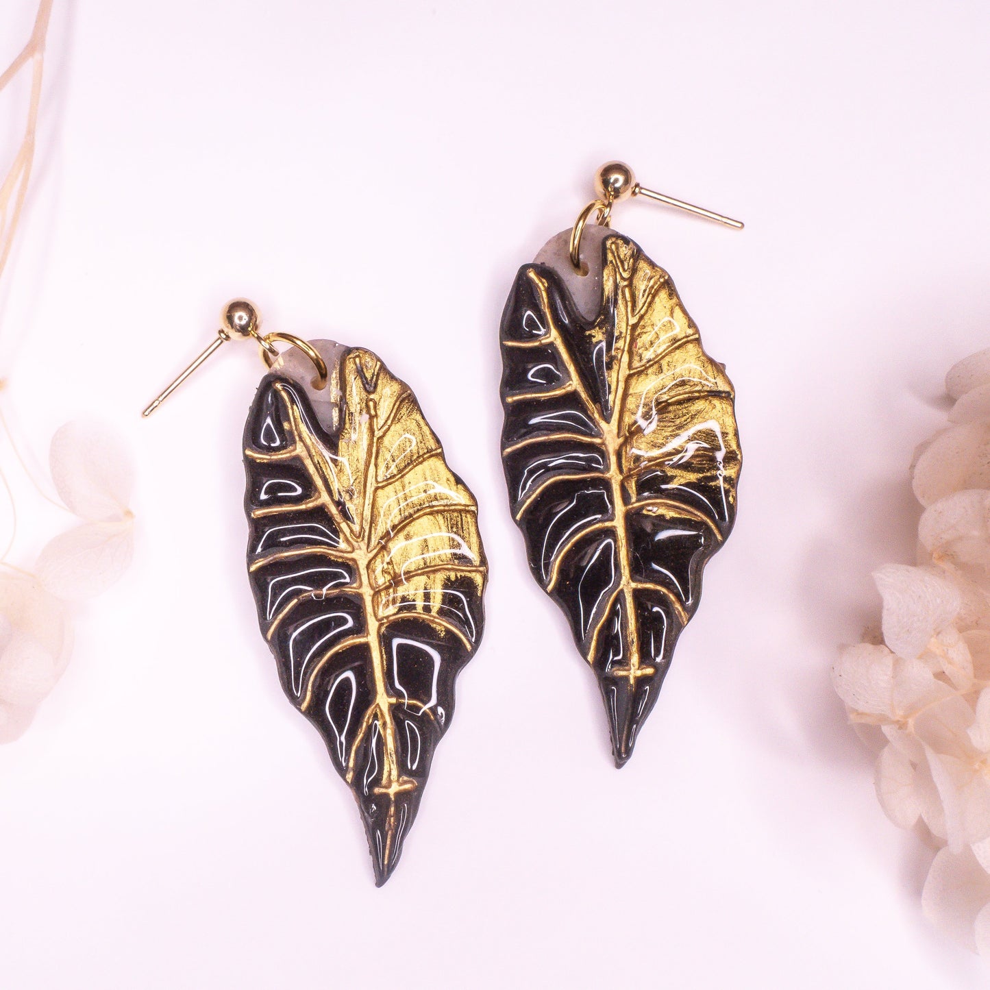 Alocasia Black Velvet ‘Gold Flame’