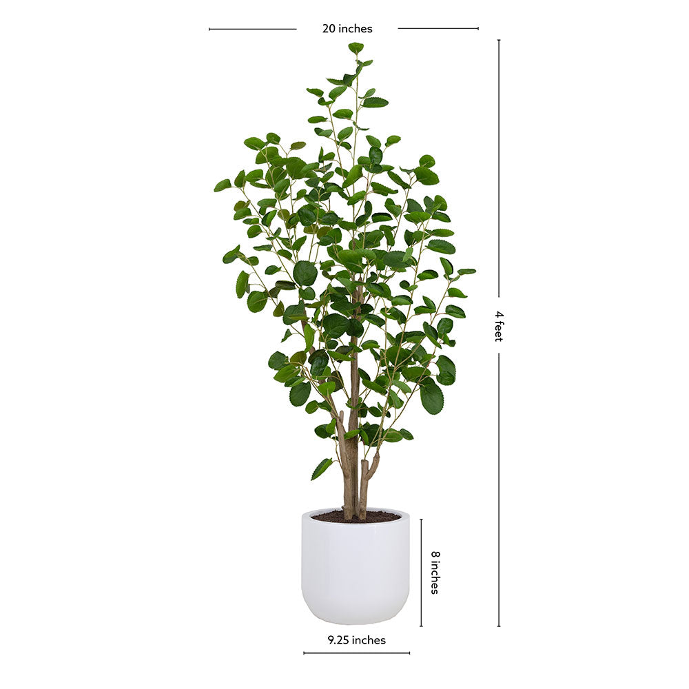 4' Faux Potted Eucalyptus Tree