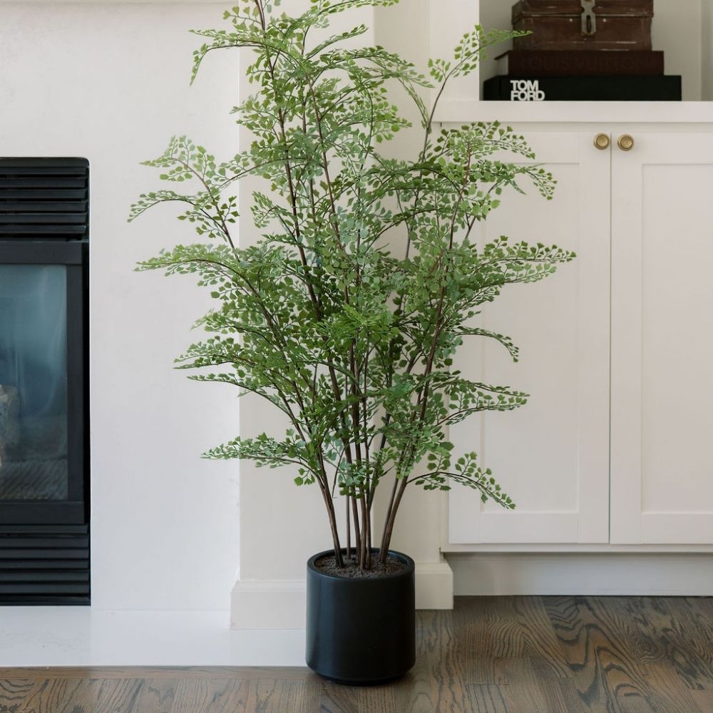 Faux Maidenhair Fern
