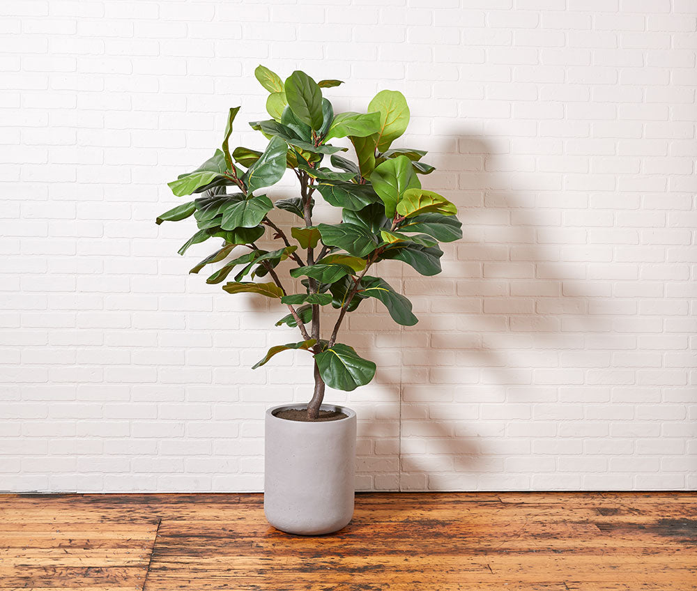 Artificial Fiddle Leaf Fig Tree with Artisan Planter