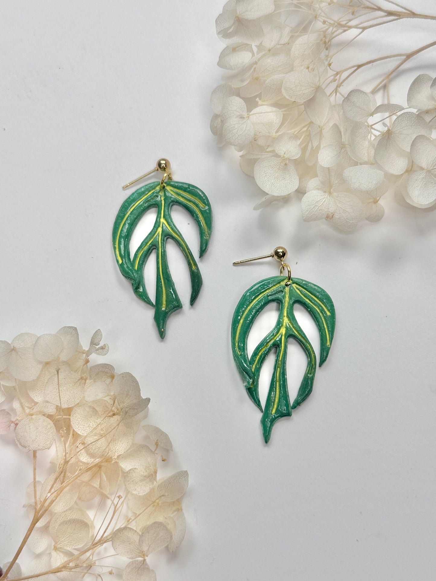 Philodendron Burle Marx Flame