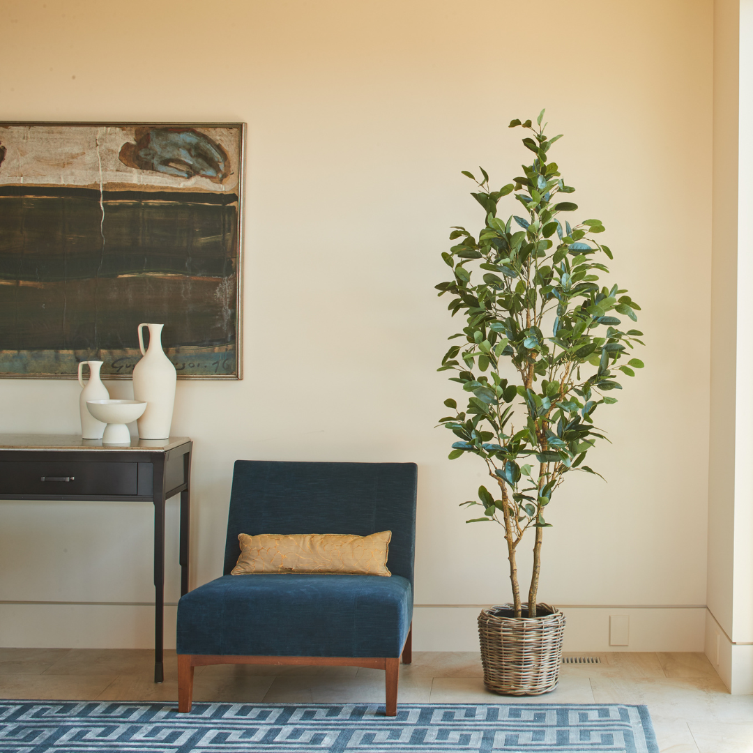 7' Citrus Lemon Tree