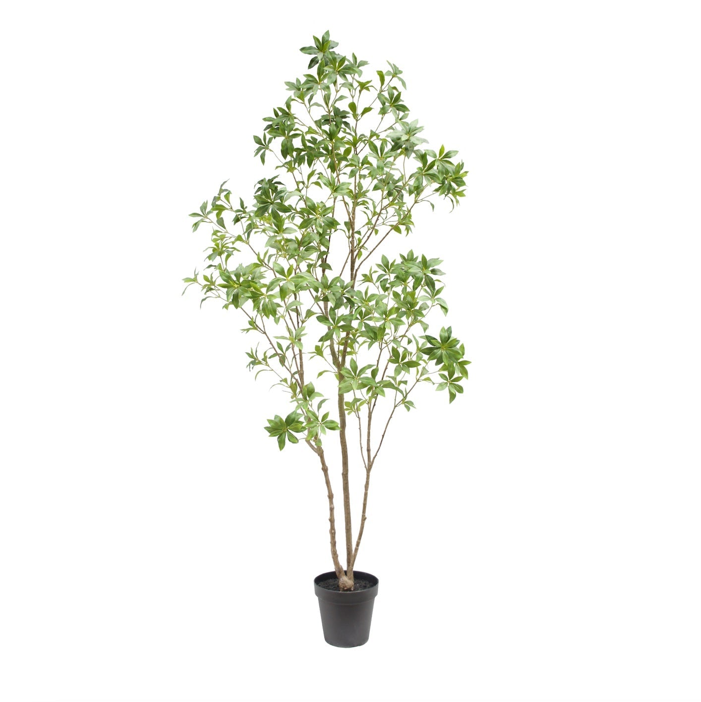 7' Artificial Laurel Tree