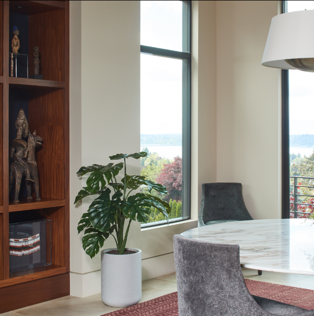 4' Monstera Plant in Modern Gray Planter