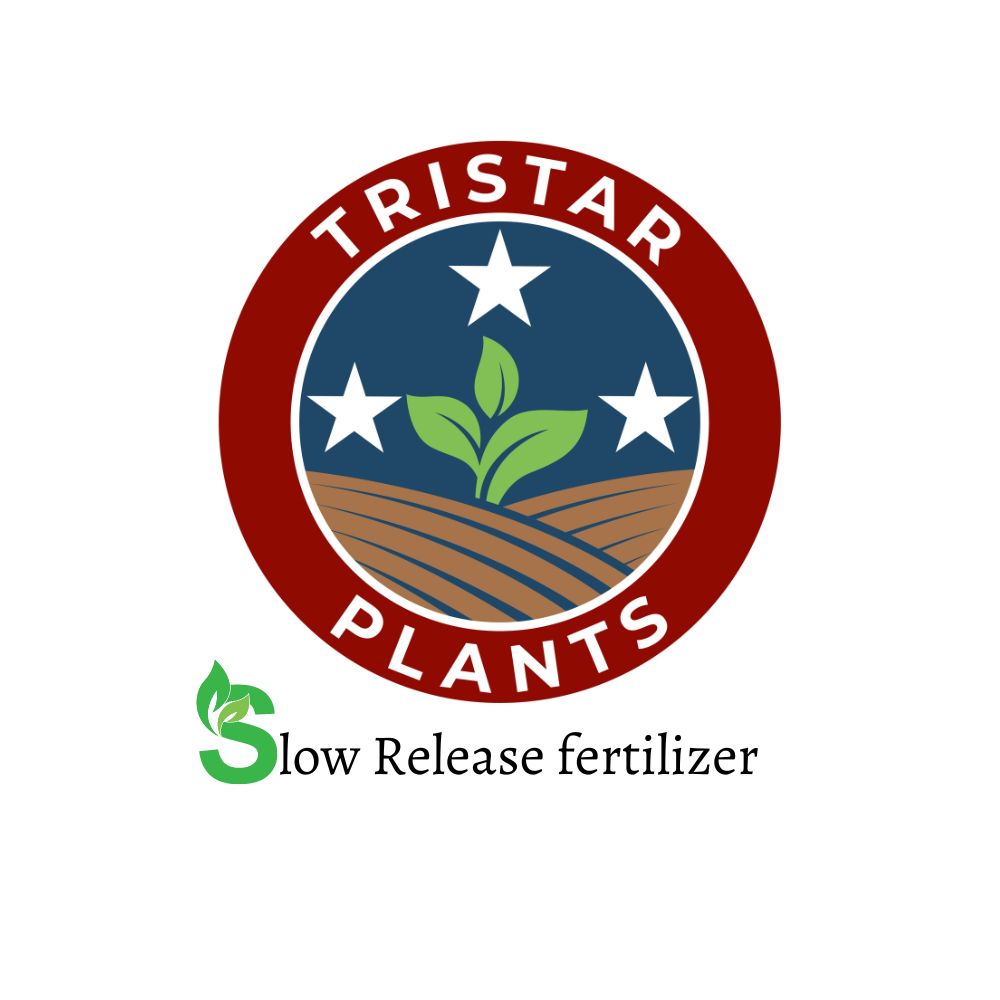 Slow Release Fertilizer Pellets