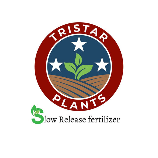 Slow Release Fertilizer Pellets