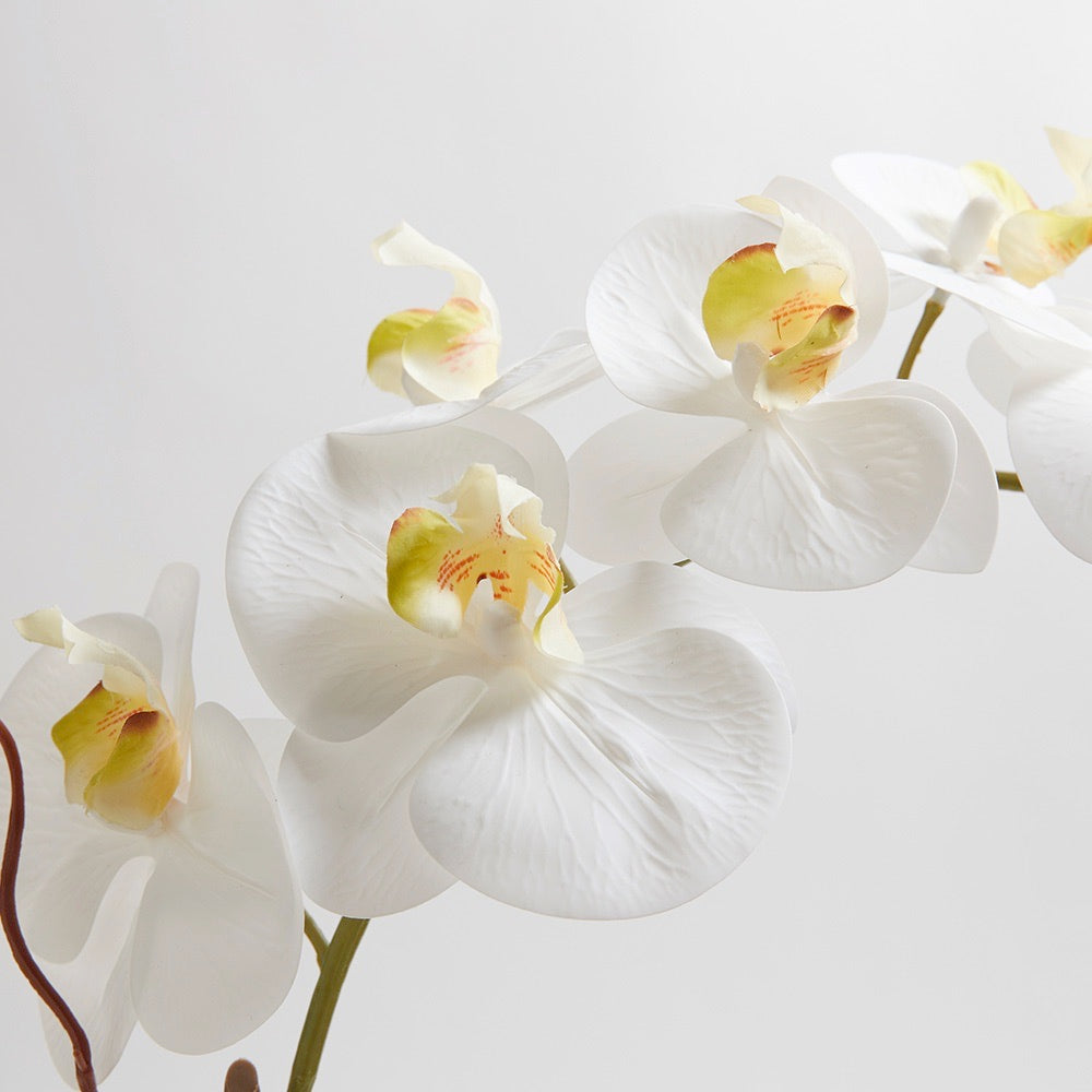 Artificial White Double Stem Orchid