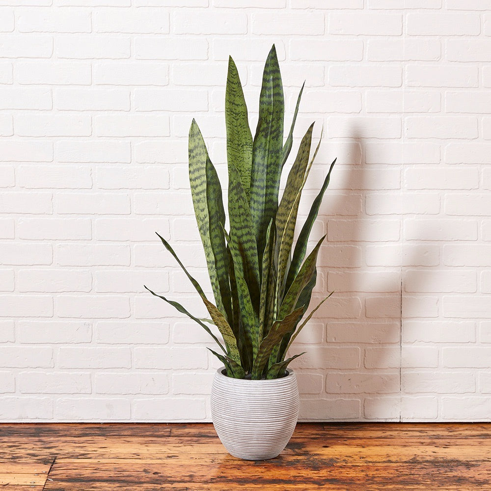 Artificial Snake Plant with Artisan Planter