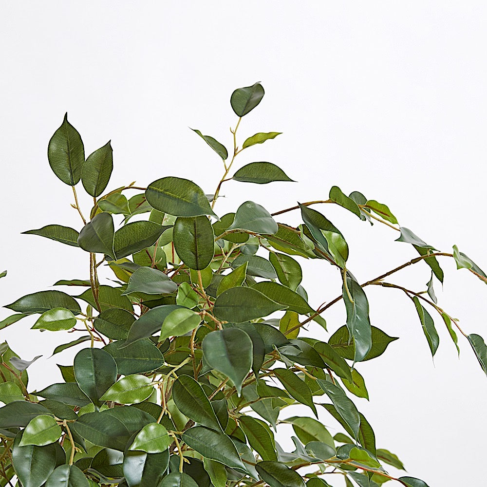 Artificial Ficus Tree with Artisan Planter