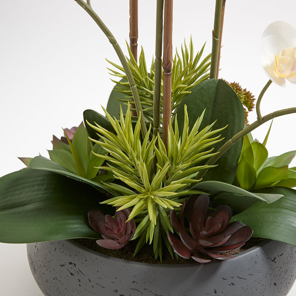 Artificial Orchid with Succulents