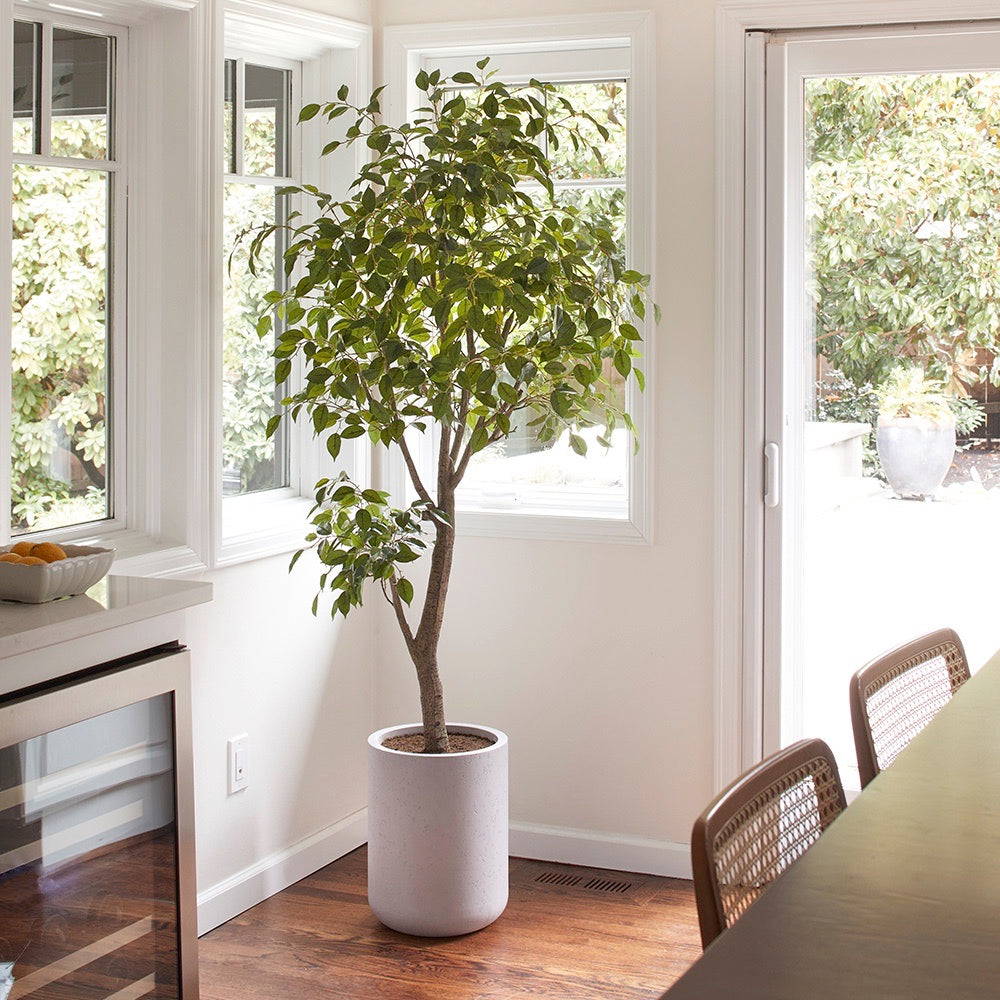 Artificial Ficus Tree with Artisan Planter