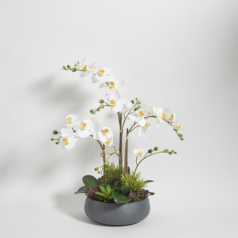 Artificial Orchid with Succulents