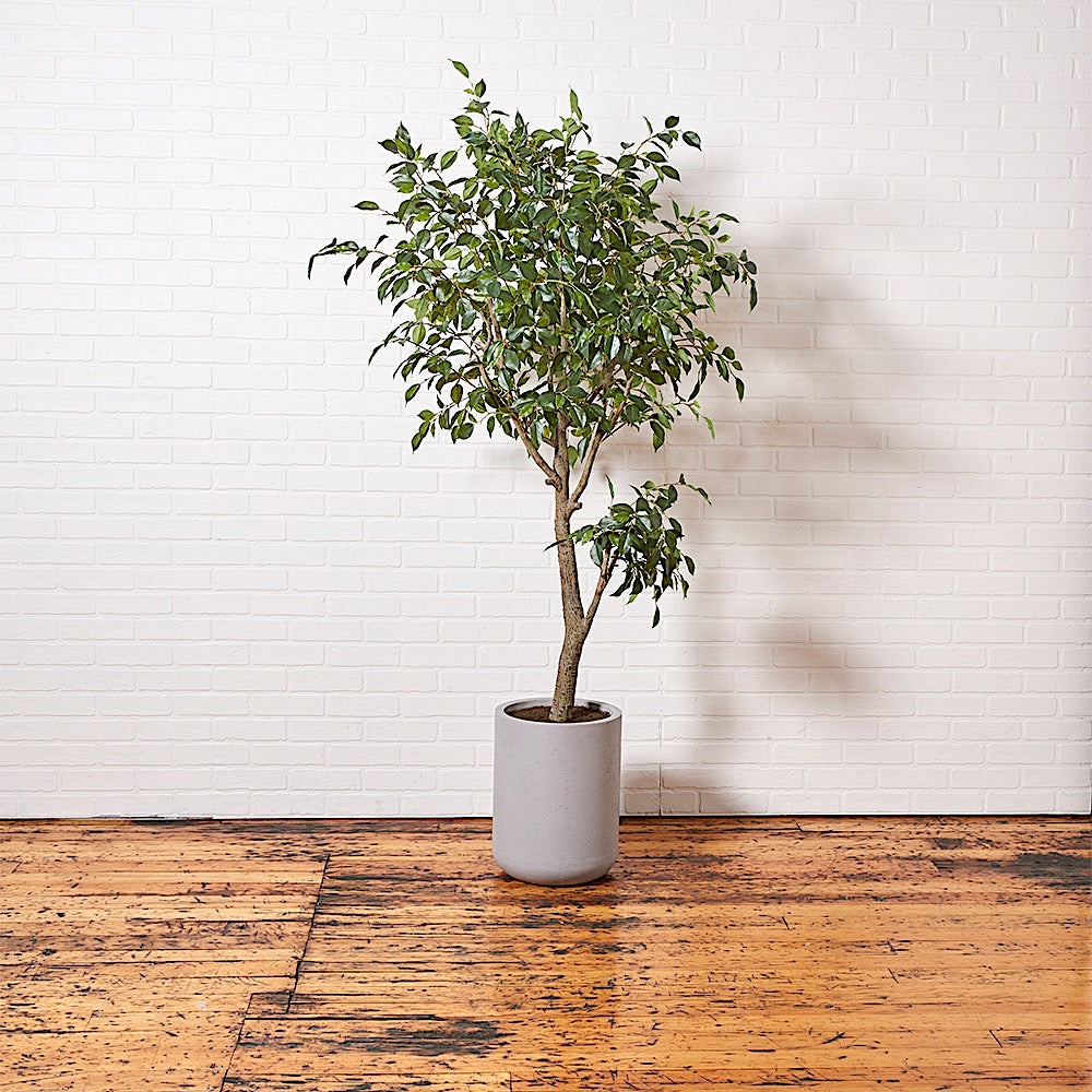 Artificial Ficus Tree with Artisan Planter