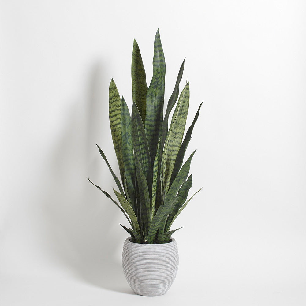 Artificial Snake Plant with Artisan Planter