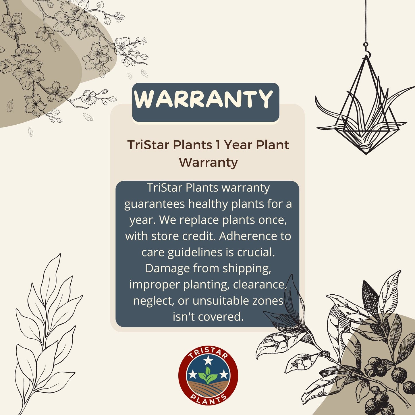 TriStar Plants - One Year Warranty