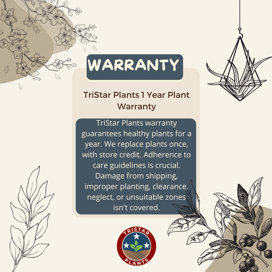 TriStar Plants - One Year Warranty