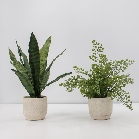 16" Faux Snake Plant & Fern Set